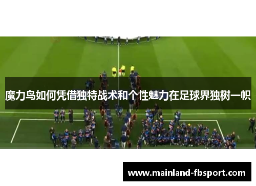 魔力鸟如何凭借独特战术和个性魅力在足球界独树一帜