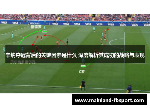 辛纳夺冠背后的关键因素是什么 深度解析其成功的战略与表现