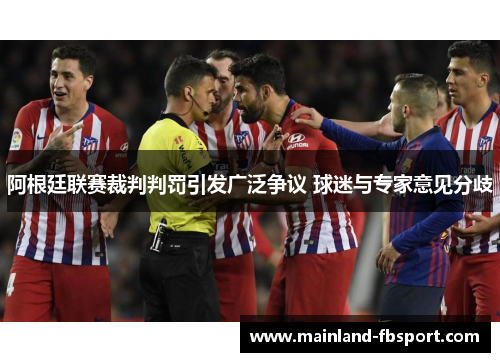 阿根廷联赛裁判判罚引发广泛争议 球迷与专家意见分歧