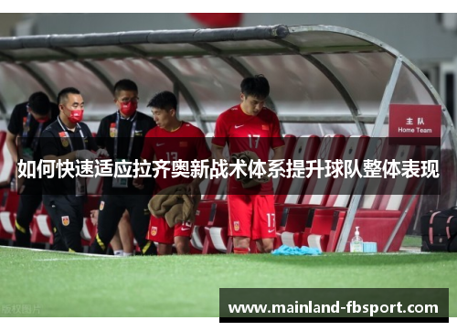 如何快速适应拉齐奥新战术体系提升球队整体表现