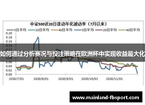 如何通过分析赛况与投注策略在欧洲杯中实现收益最大化