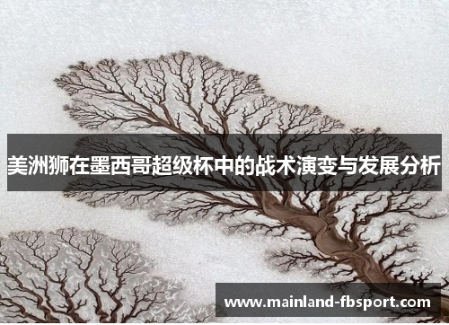 美洲狮在墨西哥超级杯中的战术演变与发展分析